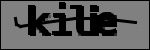 识别文本